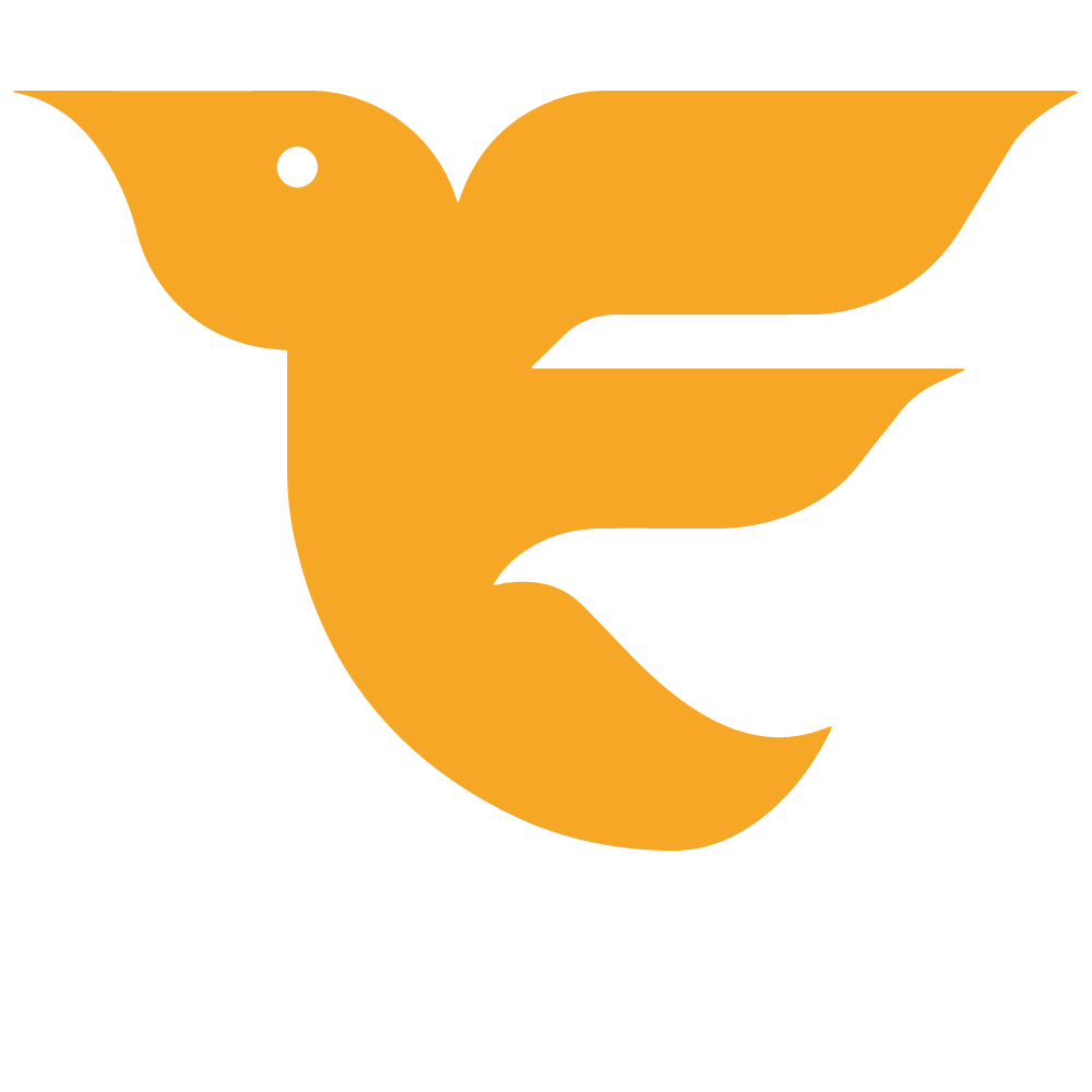 Evolution Digital Marketing